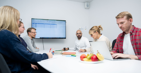 Bild: Revisorns viktiga arbete